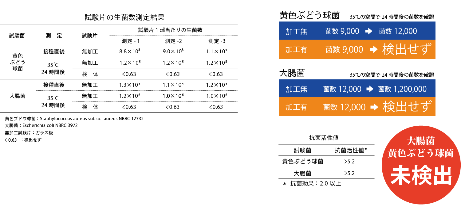 大腸菌　黄色ブドウ球菌　検出せず